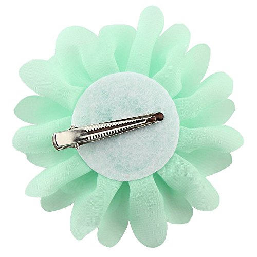 10 Piezas Pinza De Pelo Diseño De Flore Para Las Niñas &Chicas Clip De Pelo Multicolor Muchacha Pelo Adornos