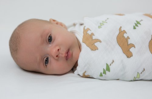 Amazing Baby by Swaddledesigns, Set de 3 Mantas de Muselina Para Bebés, Aventura en La Naturaleza, Neutro