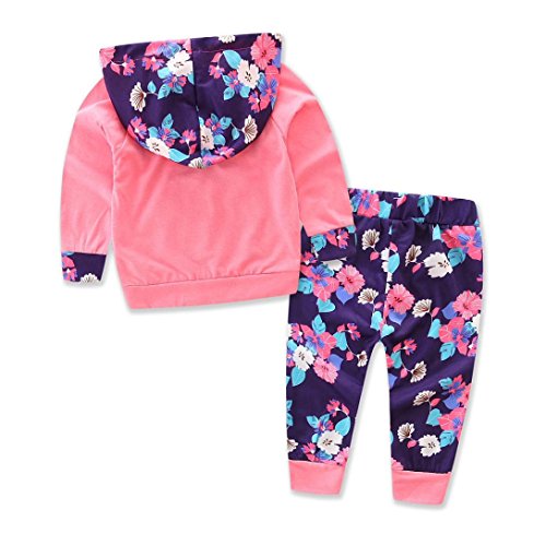 Amlaiworld Ropa Bebé, Bebé Niñas con Capucha Floral Tops + pantalón Trajes Ropa Conjunto 0-24 Mes (Tamaño:12-18Mes, Rosa)