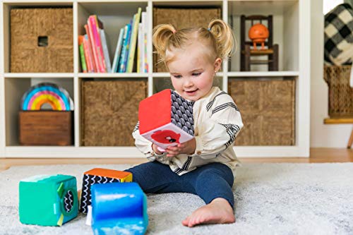 Baby Einstein, Cubos Juguetes Explore & Discover, 3 meses