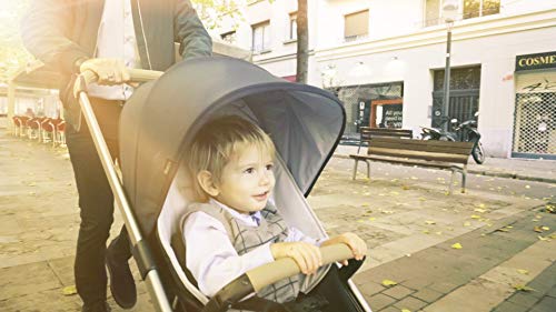 Easywalker Buggy adaptadores de asiento de coche