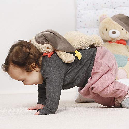 fehn 060225 fehn 060225 Peluche Oso | suave de peluche para agarrar, sentir, knuddeln y Verdad | para bebés y niños pequeños a partir de 0 + meses, tamaño: 25 cm, multicolor