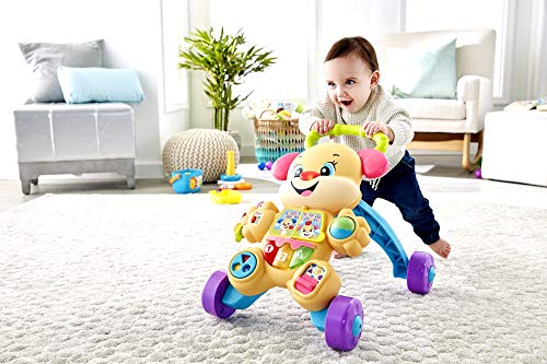 Fisher-Price Andador perrito primeros pasos, correpasillos bebé +6 meses (Mattel FRC85)