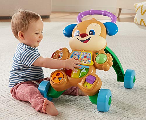 Fisher-Price Andador perrito primeros pasos, correpasillos bebé +6 meses (Mattel FRC85)