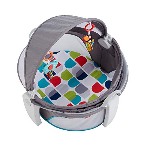 Fisher-Price - Cuna De Viaje 2 En 1 Para Bebé, Multicolor, FWX16