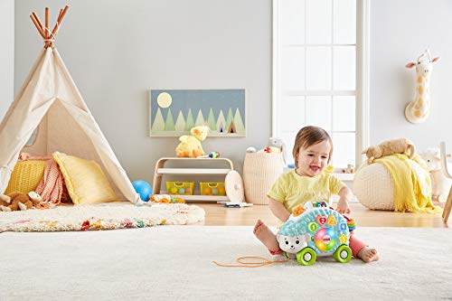 Fisher-Price Erizo linkimals, juguete interactivo bebés +9 meses, multicolor (Mattel GJB06)