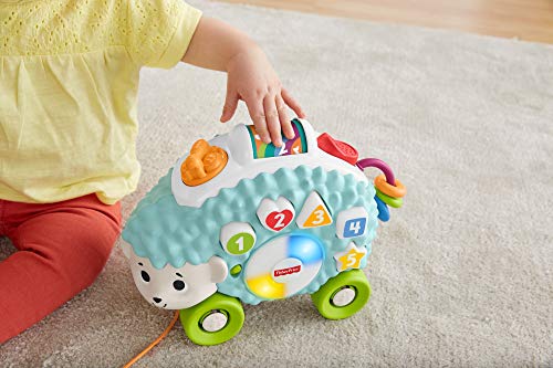 Fisher-Price Erizo linkimals, juguete interactivo bebés +9 meses, multicolor (Mattel GJB06)