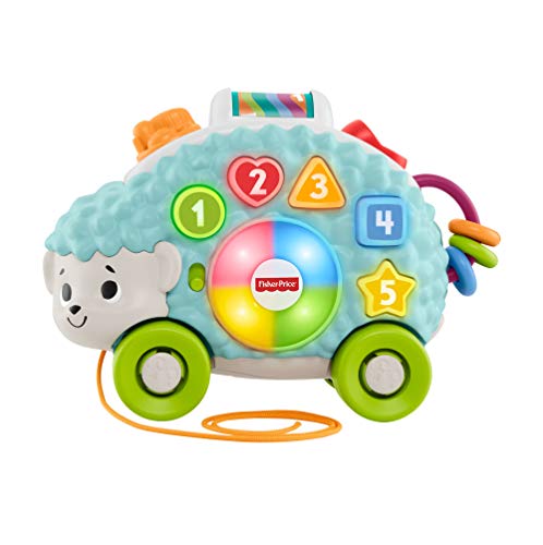 Fisher-Price Erizo linkimals, juguete interactivo bebés +9 meses, multicolor (Mattel GJB06)