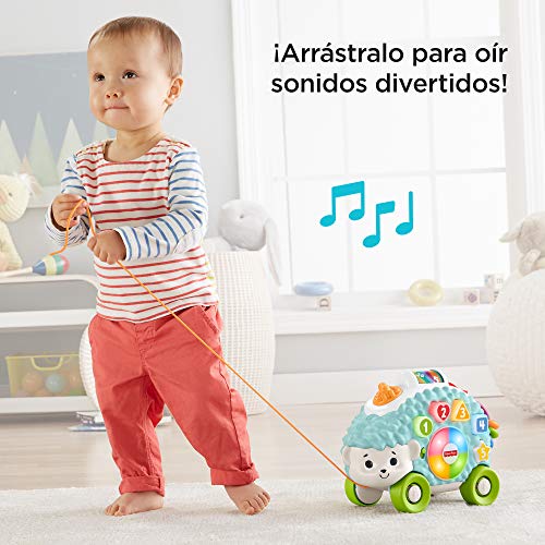 Fisher-Price Erizo linkimals, juguete interactivo bebés +9 meses, multicolor (Mattel GJB06)