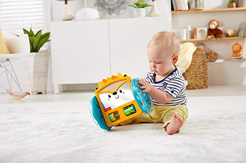 Fisher-Price-Espejo de Erizo ¡Juega y arrasta, juguete para bebés +3 meses (Mattel GJW14)