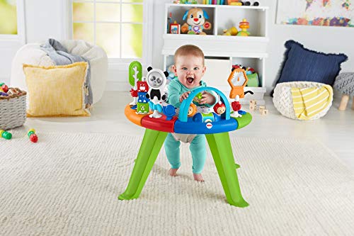 Fisher-Price GGC60 - Centro de actividades