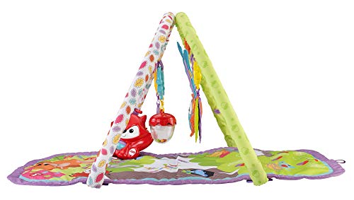 Fisher-Price - Gimnasio Musical 3 en 1 animalitos del Bosque