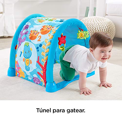 Fisher-Price- Gimnasio musical juega y gatea, para bebé + 0 meses, Multicolor (Mattel DRD92)