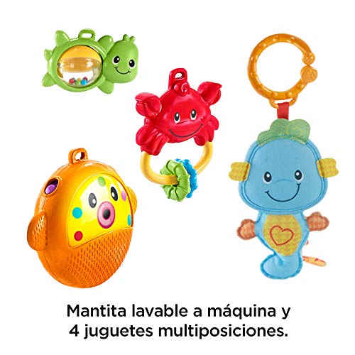 Fisher-Price- Gimnasio musical juega y gatea, para bebé + 0 meses, Multicolor (Mattel DRD92)