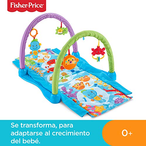 Fisher-Price- Gimnasio musical juega y gatea, para bebé + 0 meses, Multicolor (Mattel DRD92)