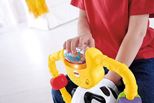 Fisher-Price - Gira Gira, Cebra