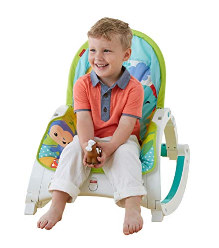 Fisher-Price Hamaca multi posiciones, silla para bebé recién nacido (Mattel CMR10)