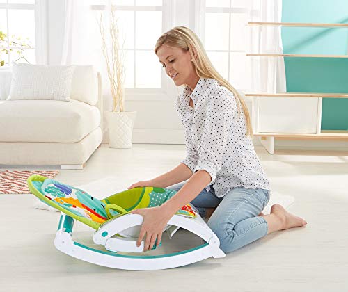 Fisher-Price Hamaca multi posiciones, silla para bebé recién nacido (Mattel CMR10)