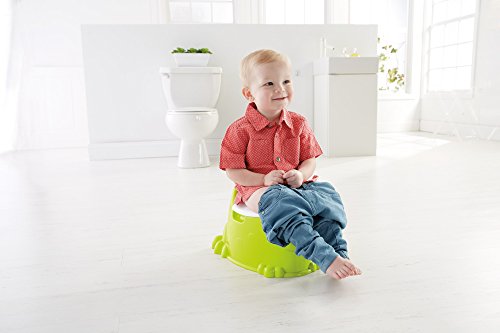 Fisher-Price - Orinal ranita para bebé +9 meses (Mattel DKH99)