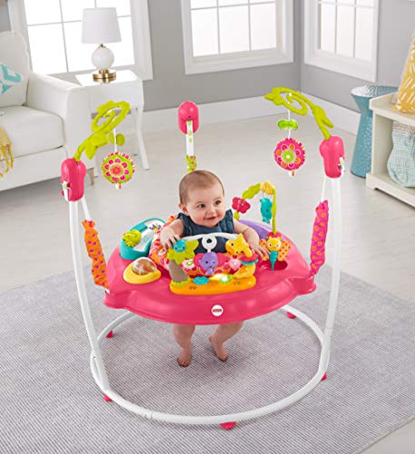 Fisher-Price Petals Jumperoo, Centro de Actividades para recién Nacido, con música y Luces, Color Rosa