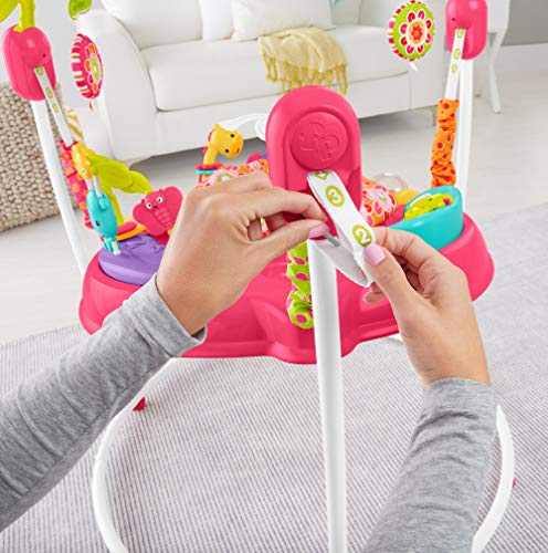 Fisher-Price Petals Jumperoo, Centro de Actividades para recién Nacido, con música y Luces, Color Rosa