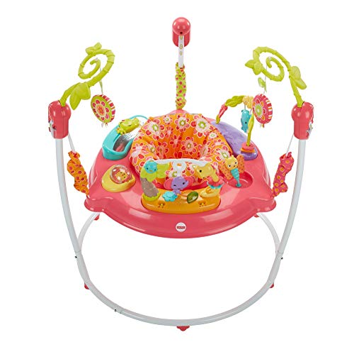 Fisher-Price Petals Jumperoo, Centro de Actividades para recién Nacido, con música y Luces, Color Rosa