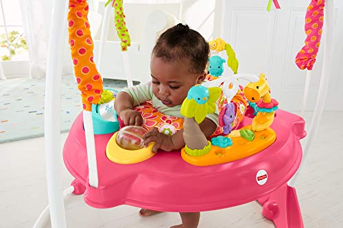 Fisher-Price Petals Jumperoo, Centro de Actividades para recién Nacido, con música y Luces, Color Rosa