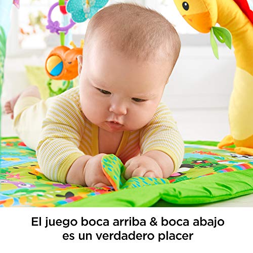 Fisher-Price- Rey Leon Deluxe animalitos de la Selva, gimnasios Bebe, Color verde (Mattel DFP08)