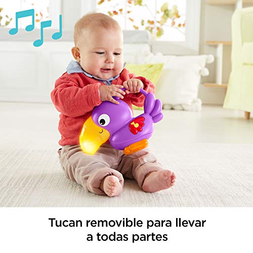 Fisher-Price- Rey Leon Deluxe animalitos de la Selva, gimnasios Bebe, Color verde (Mattel DFP08)