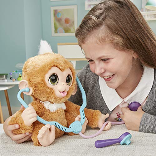 Furreal Friends Hasbro E0367EU4 - Zandi Visita Al Médico