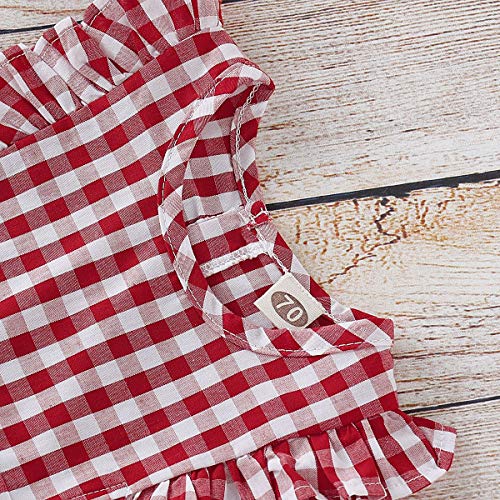 Haokaini Mameluco del Vestido de la Colmena de la Tela Escocesa a Juego de la Familia de los Gemelos, Falda roja de Las Hermanas Onesie para el Infante (Color : Little Sister, Size : 3-6M)