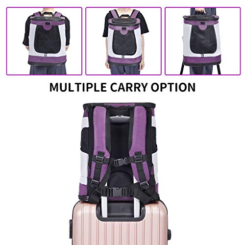 HAPPY HACHI Mochila Plegable para Perros Gatos Transporte para Perro Bolso Transportín Viaje con Correa Relleno Ajustable Camiseta Transpirable Morado