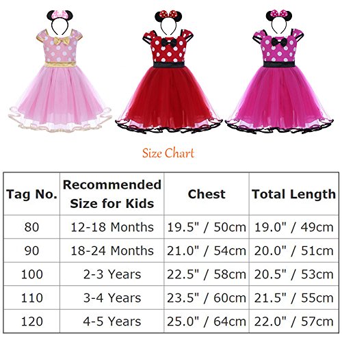 IBTOM CASTLE Traje Princesa Fiesta Minnie Vestido Bautizo para Bebés Niñas Ropa Recien Nacido Infantil Tutú Ballet Lunares Rosa 2-3 Años