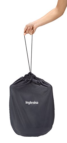 Inglesina AY90G5FUX - Sillita de mesa, unisex