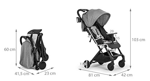 Kinderkraft Silla de Paseo PILOT, Plegable, Transportable, Hasta 15 kg, Gris