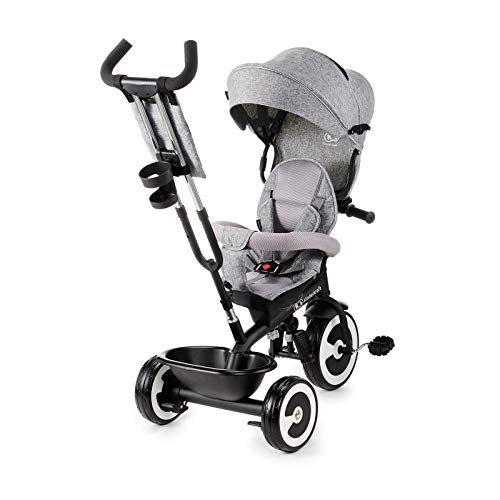 Kinderkraft Triciclo Evolutivo ASTON, Plegable, Cinturón, 9 Meses a 5 Años, Gris