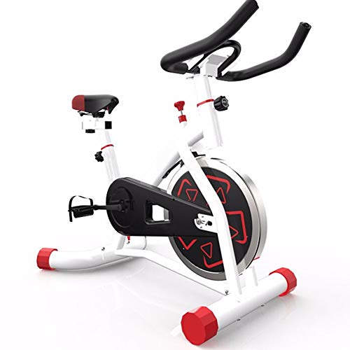 LYZL Bicicleta De Ejercicio, Fitness Interior Ciclismo Bicicleta Estacionaria, Resistencia Ajustable, Aparato De Gimnasia para El Hogar Y La Oficina,2