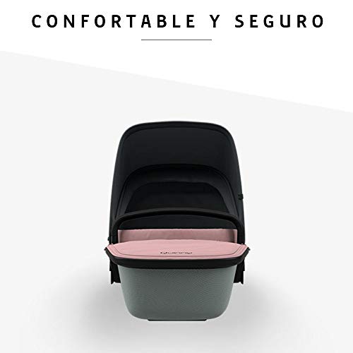 Quinny LUX - Capazo ultraligero para Zapp Flex Plus, Zapp Flex, Zapp Xpress, apto desde el nacimiento, color rosa y gris