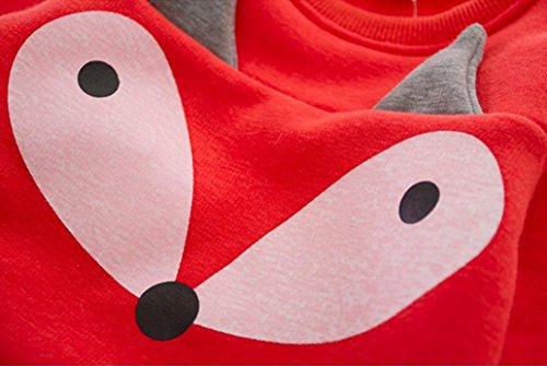 Ropa Bebé, Bebé Chica Fox Manga Larga Sudadera Superior + Pantalones Ropa de Conjunto 0-3Años (Tamaño:2-3Años, Rojo)