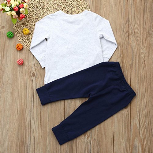 Ropa Bebe Niño otoño Invierno 2018,Fossen Recién Nacido Niño Perros Impresión Camisetas de Manga Larga + Pantalones + Sombrero,2PC/Conjunto (0-6 Meses, Gris)