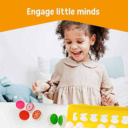 Tippi Color Matching Egg Set - Juguetes para niños pequeños - Educational Color & Number Recognition Habilidades de Aprendizaje de Juguetes