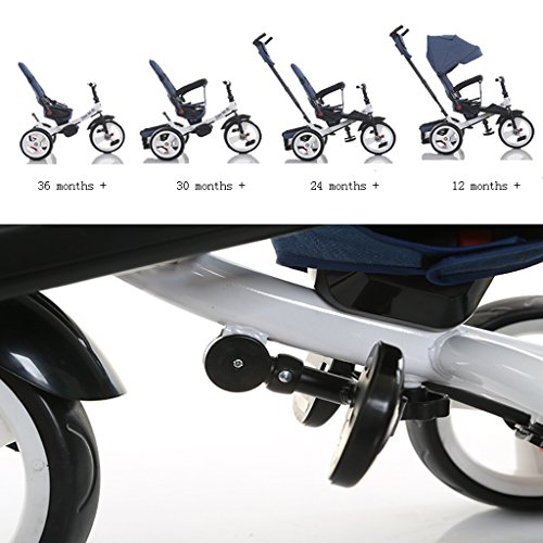 Trike/Triciclo reclinable y Giratorio de 360 ​​° para niños en Triciclo de 360 ​​° con toldo Solar y Barra de manija extraíble para Empujar (Color : A)