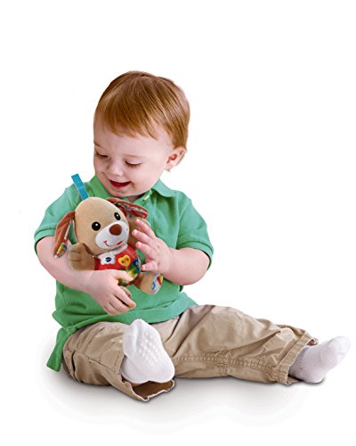 VTech - Peque Perrito de Peluche Interactivo con Canciones Voces y Actividades Que estimulan al bebé en Diferentes aspectos Desarrollo Motor, del lenguaje y sensorial, Color marrón (3480-502322)