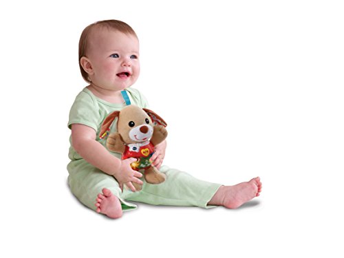 VTech - Peque Perrito de Peluche Interactivo con Canciones Voces y Actividades Que estimulan al bebé en Diferentes aspectos Desarrollo Motor, del lenguaje y sensorial, Color marrón (3480-502322)