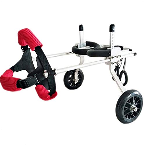 Baby Bites Silla de Ruedas Segura para Mascotas, Ancianos, Perros, Scooters, Perros discapacitados, auxiliares, Ejercicios de piernas, Perros, Gatos, automóviles (tamaño: S)