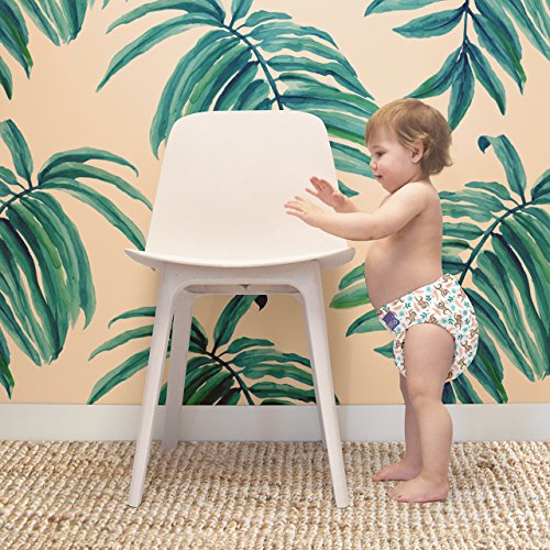 Bambino Mio Miosoft - Juego de 2 pañales de prueba, talla 2, 9 Plus kg, mono araña