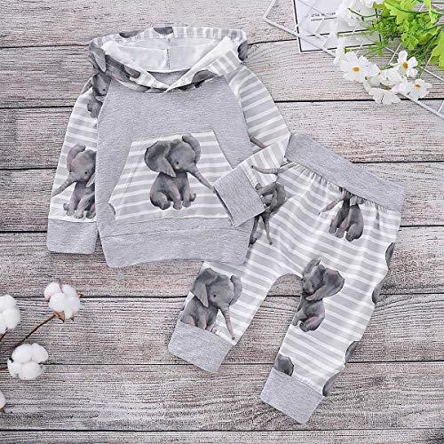 BBSMLIN Ropa Bebe Niño Otoño Invierno 0 a 3 6 9 12 18 Meses Recien Nacido Sudadera con Capucha de Manga Larga con Estampado de Elefante + Pantalón