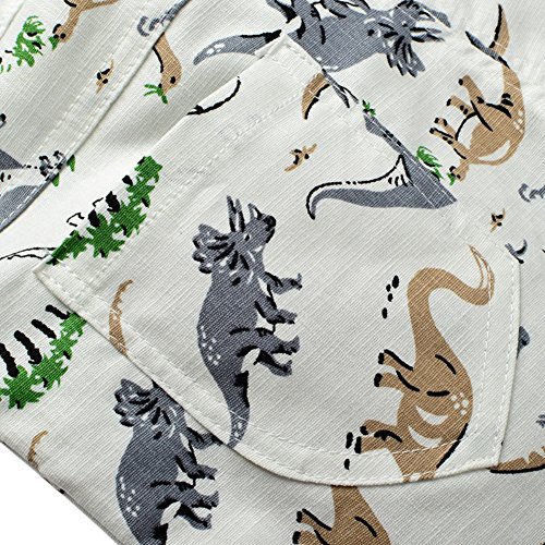 BOBORA Pantalones Cortos Bebe Niño, Pantalones Cortos de Dinosaurio de Verano para Niños de 2-6 años