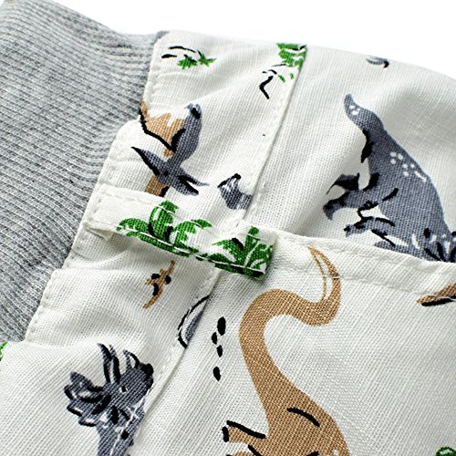 BOBORA Pantalones Cortos Bebe Niño, Pantalones Cortos de Dinosaurio de Verano para Niños de 2-6 años