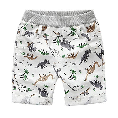 BOBORA Pantalones Cortos Bebe Niño, Pantalones Cortos de Dinosaurio de Verano para Niños de 2-6 años